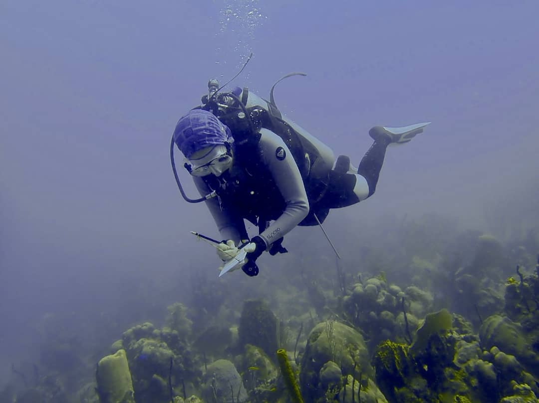 BuzoFundemar BuzoFundemar