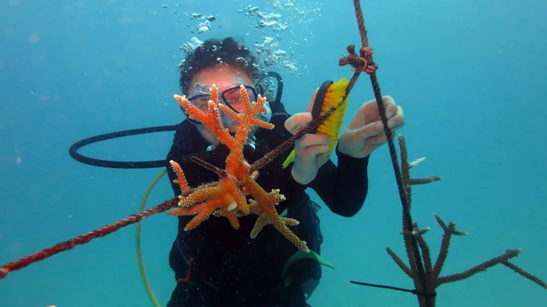 FundemarArrecifes FundermarArrecifes