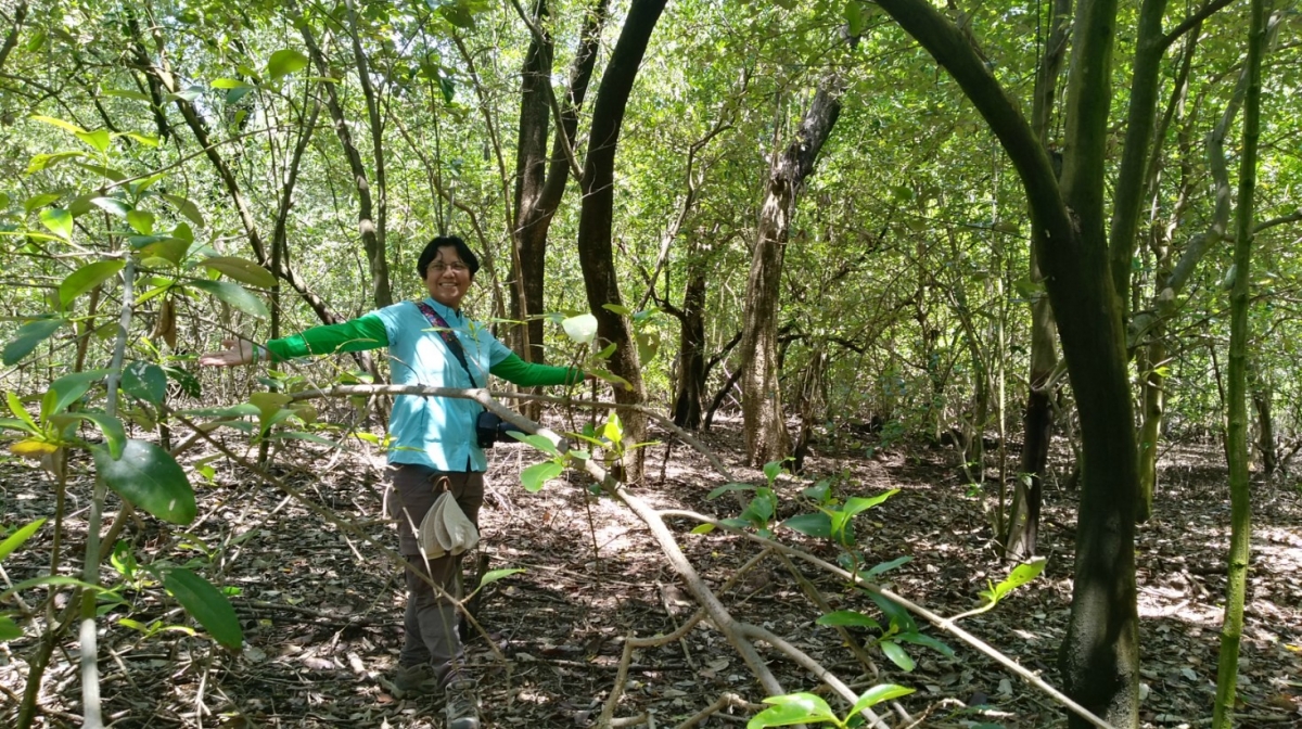Parcela Forestal de Investigacion